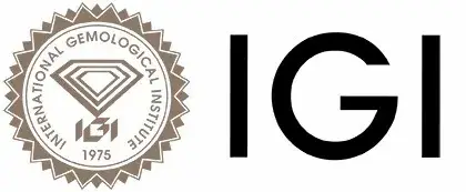 IGI-LOGO1